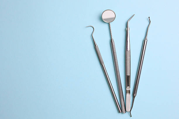 Top rated local Dental specialists in Citrus Park, FL